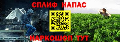 не бодяженный Будённовск
