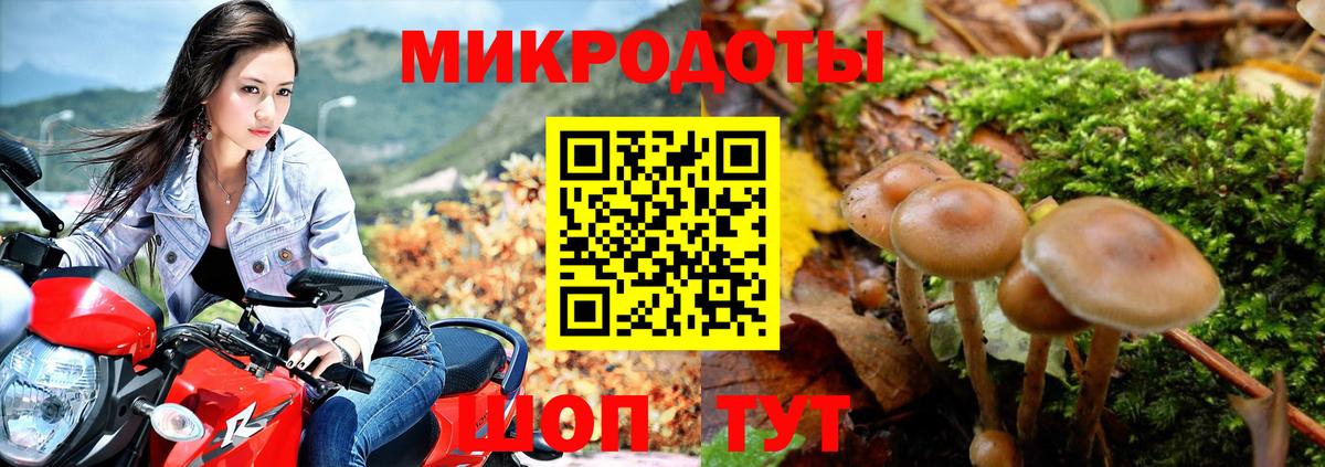 Галлюциногенные грибы MAGIC MUSHROOMS Саратов